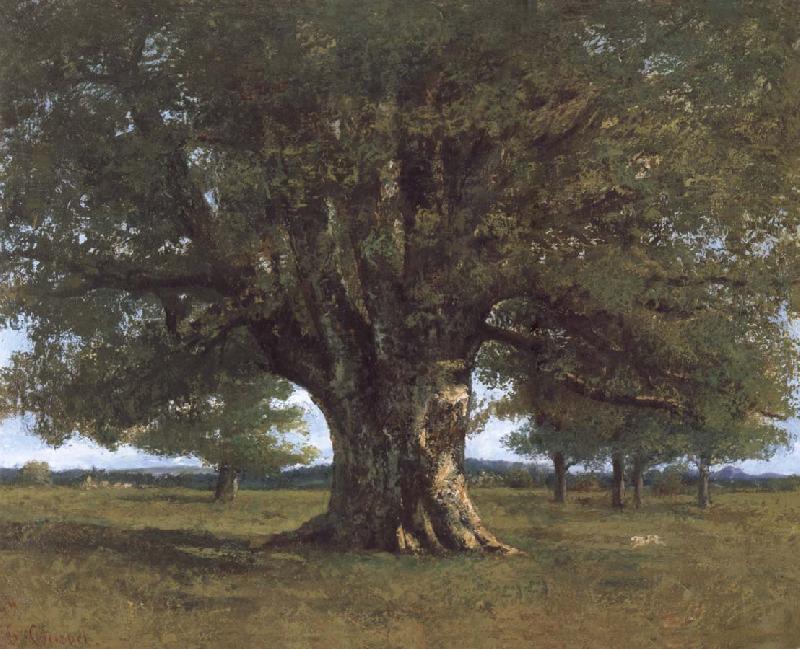  The Oak of Flagey